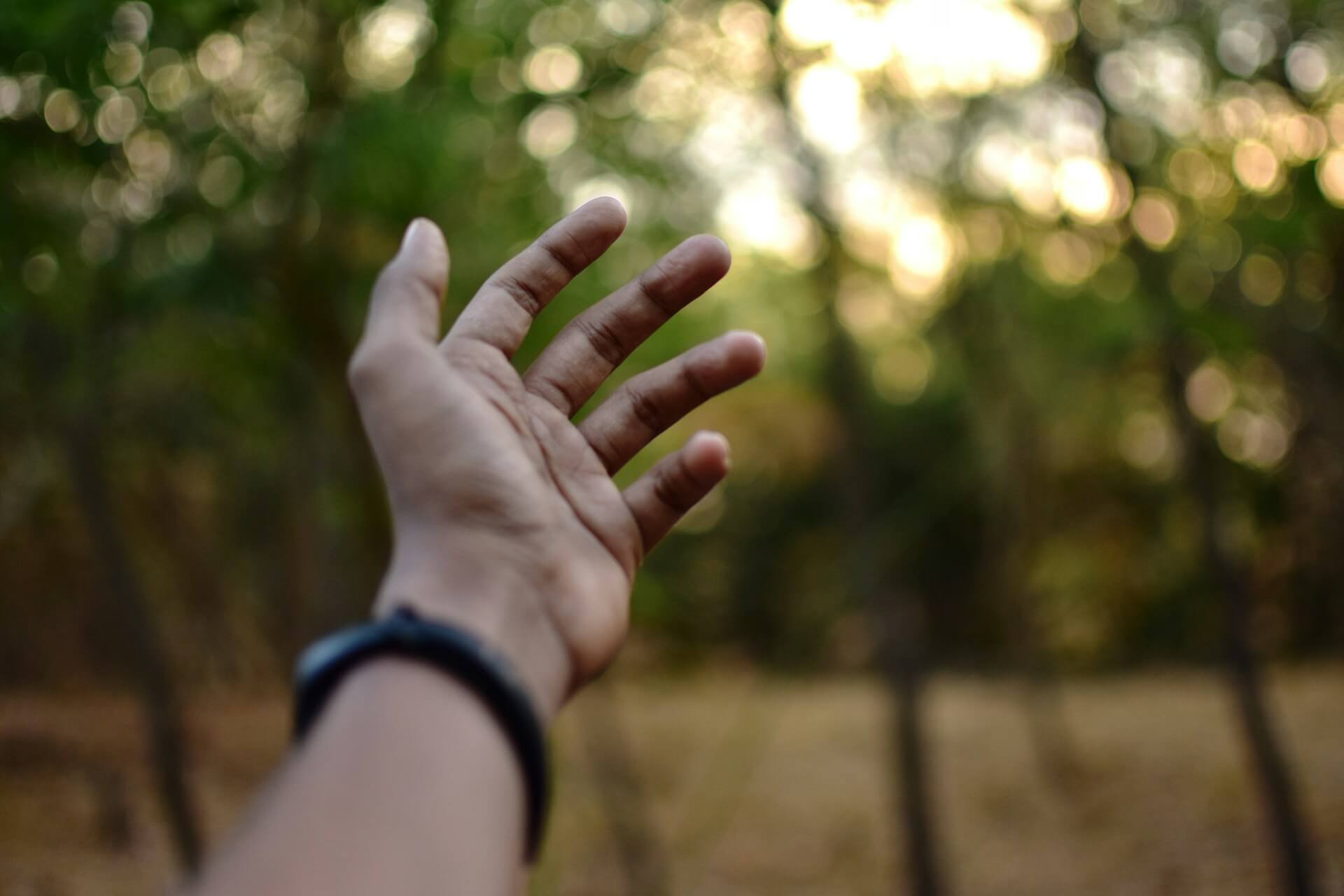 Szukasz możliwości w swoim życiu?